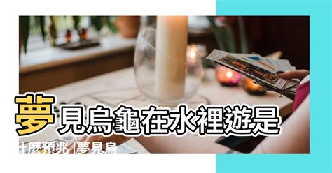 夢到ㄨ龜|【夢到ㄨ龜】夢到烏龜，財富長壽雙收！不同顏色烏龜，竟有不同。